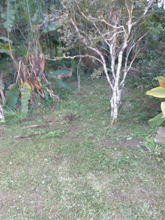 Imagem Chácara com 2 Quartos à Venda, 1.404 m² em Estrada Municipal Casqueiro - Biritiba-Mirim