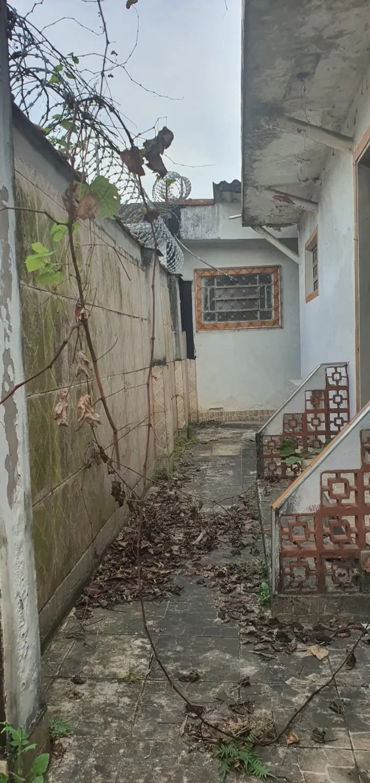 Imagem Casa com 4 Quartos à Venda, 330 m² em Vila São Jorge - São Vicente