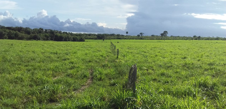 Imagem Fazenda à Venda, 455 HA em zona Rural - Santarém Novo
