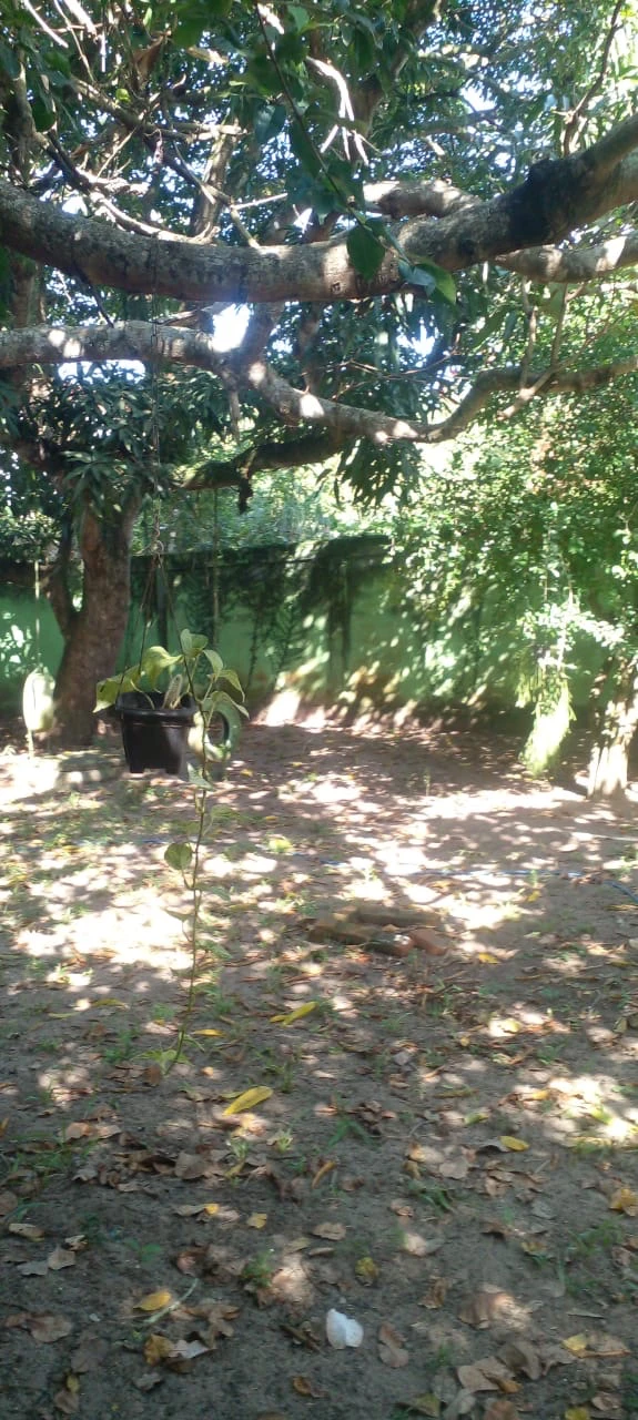 Imagem Casa com 3 Quartos à Venda, 200 m² em Barra do Jucu - Vila Velha