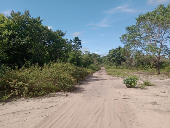 Imagem Terreno à Venda, 44.200 m² em Centro - Santarém