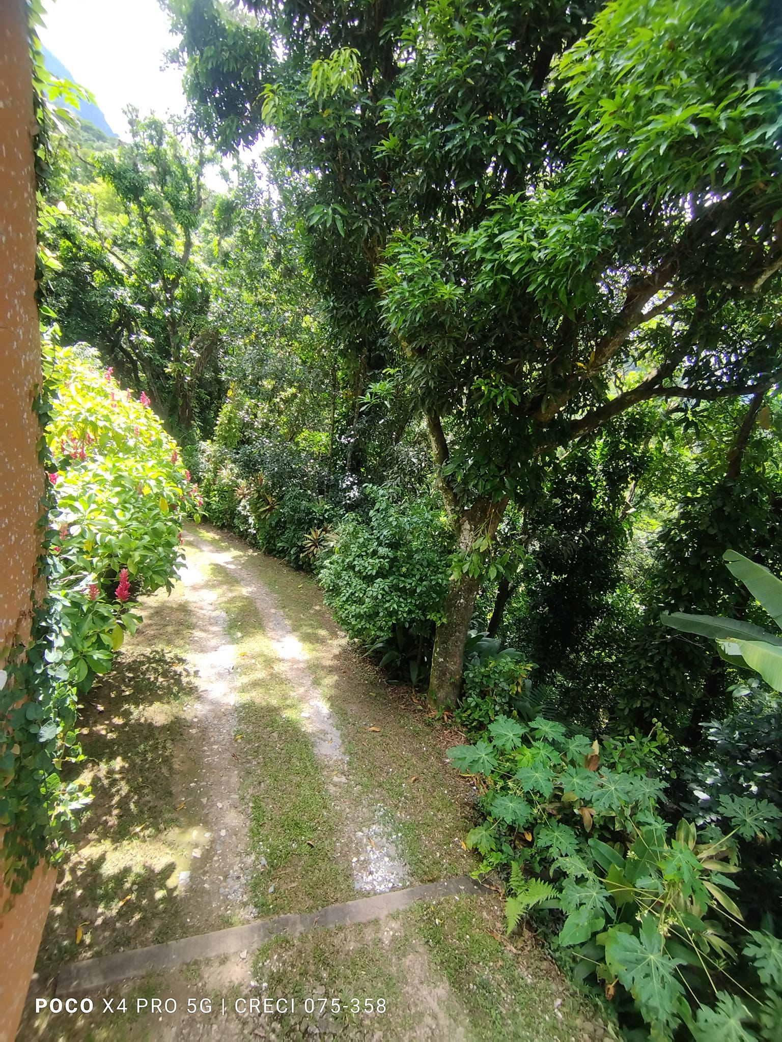 Imagem Chácara com 6 Quartos à Venda, 8 m²em Jacarepaguá - Rio de Janeiro
