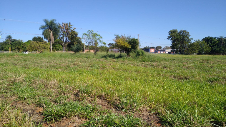 Imagem Terreno à Venda, 5.000 m² em Chácaras TV - Araçatuba