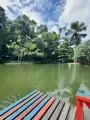 Imagem Apartamento com 3 Quartos à Venda, 66 m² em Cidade Nova - Ananindeua