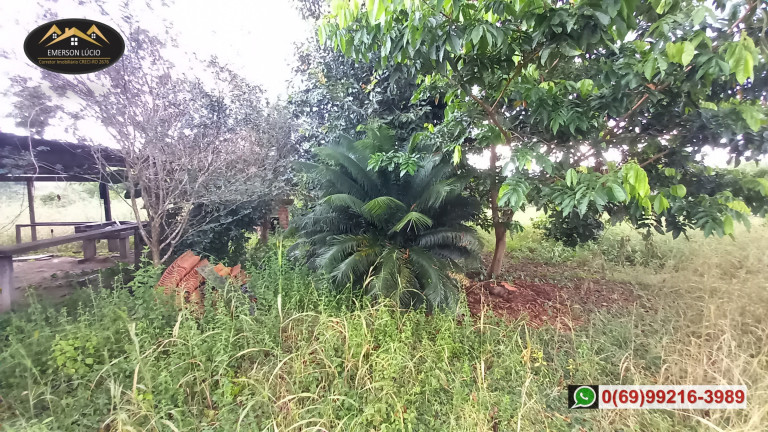 Imagem Chácara à Venda, 200 m² em Areia Branca - Porto Velho