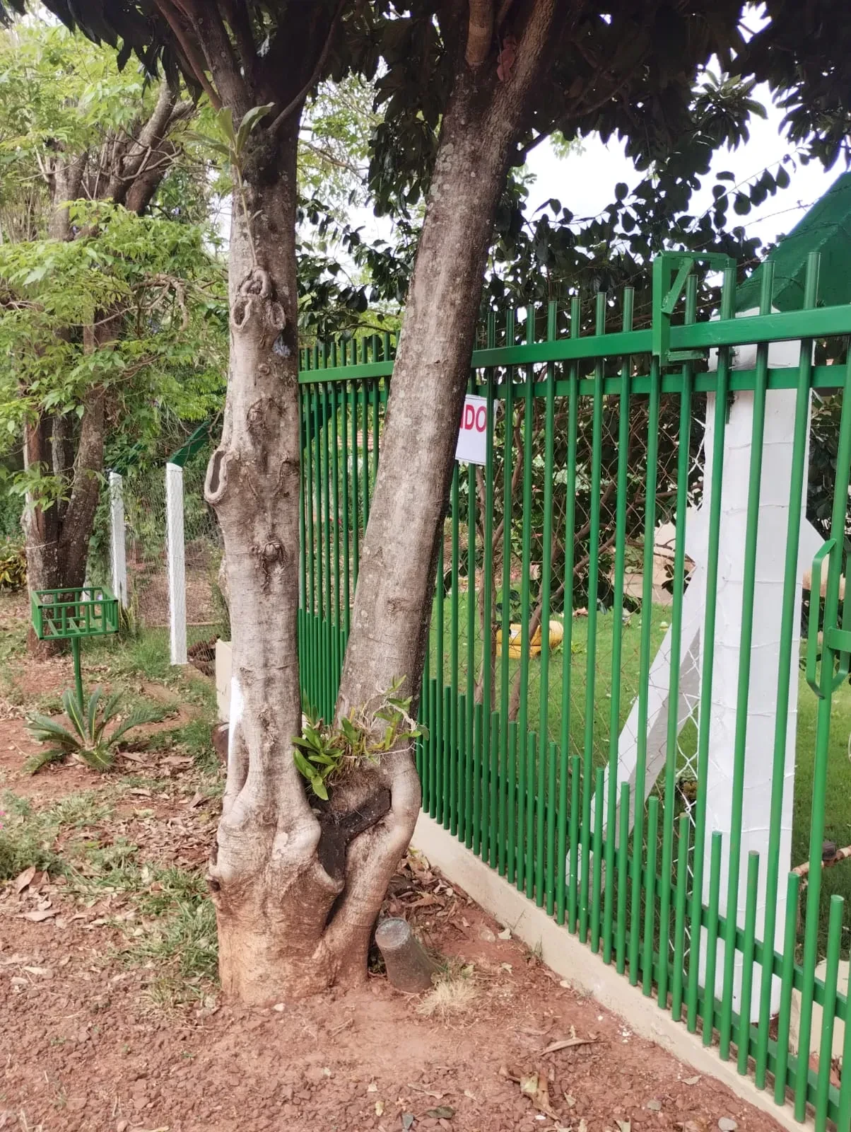 Imagem Chácara com 2 Quartos à Venda, 90 metros em Pitangueiras - Pitangueiras