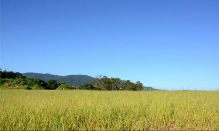Imagem Terreno à Venda, 721 m²em Jardim Santa Teresa - Jundiaí