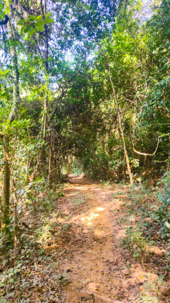 Imagem Terreno em Condomínio à Venda, 1.000 m² em Jaboticatubas - Jaboticatubas