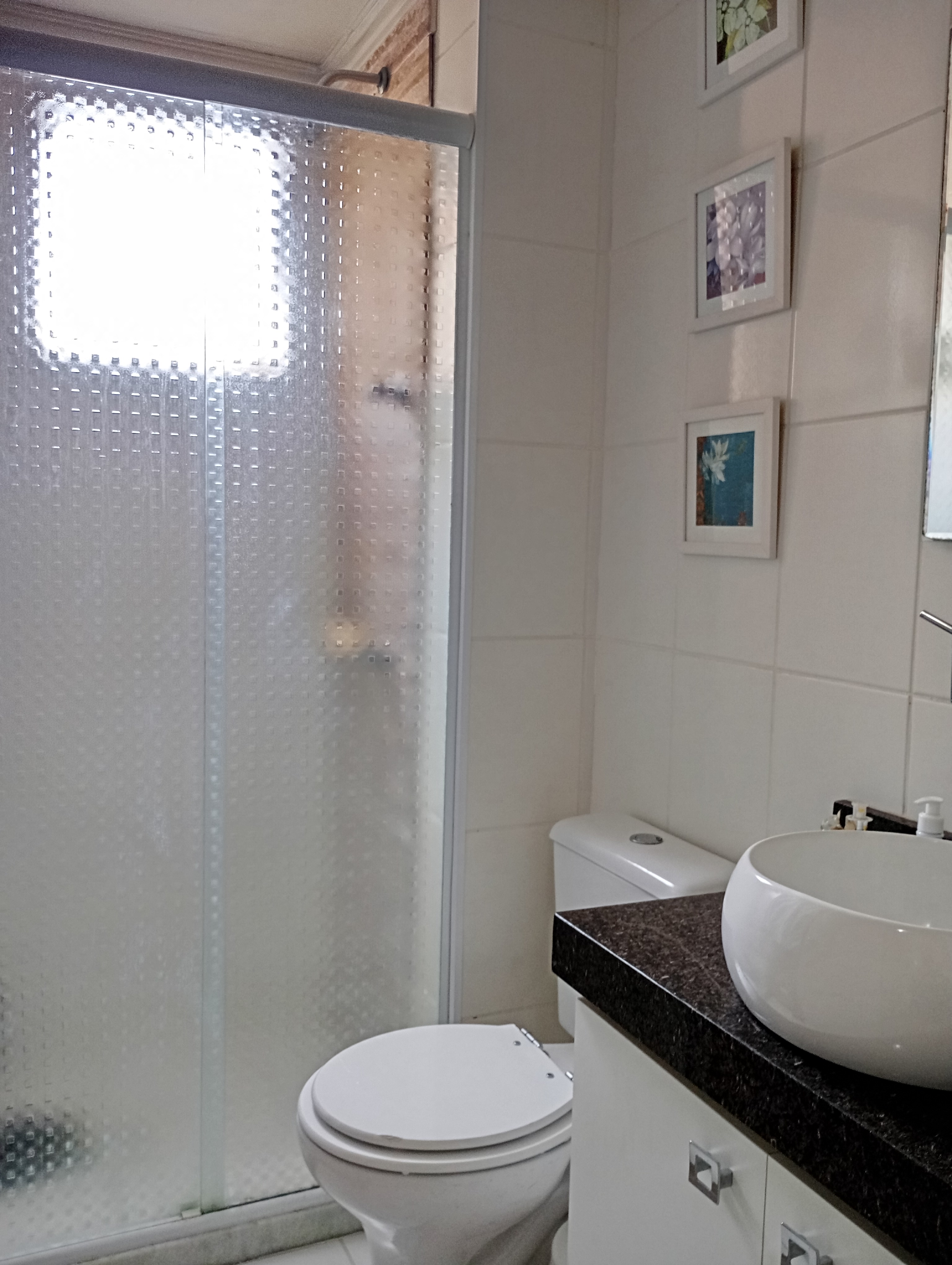 Imagem Apartamento com 2 Quartos à Venda, 52 m² em Vila Liviero - São Paulo