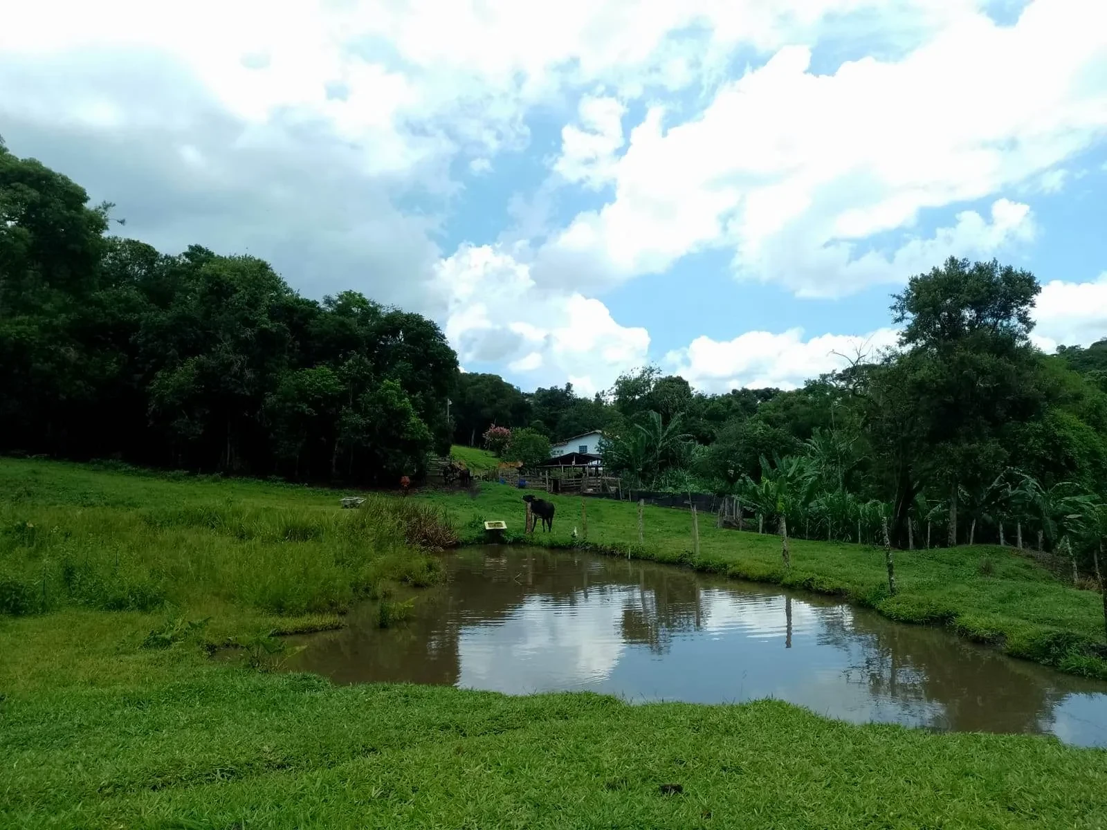 Imagem Fazenda à Venda, 5 Alq. MG em Caldas - Caldas