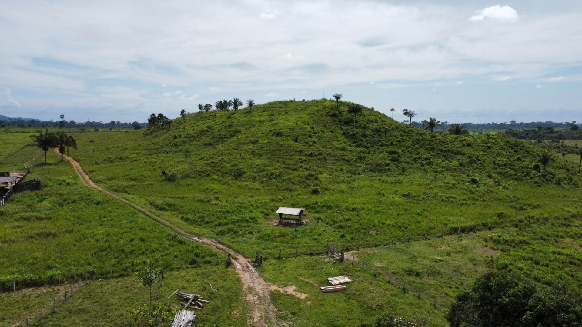 Foto do imóvel: Fazenda à Venda, 900 Alq MGem Centro  - São Félix do Xingu