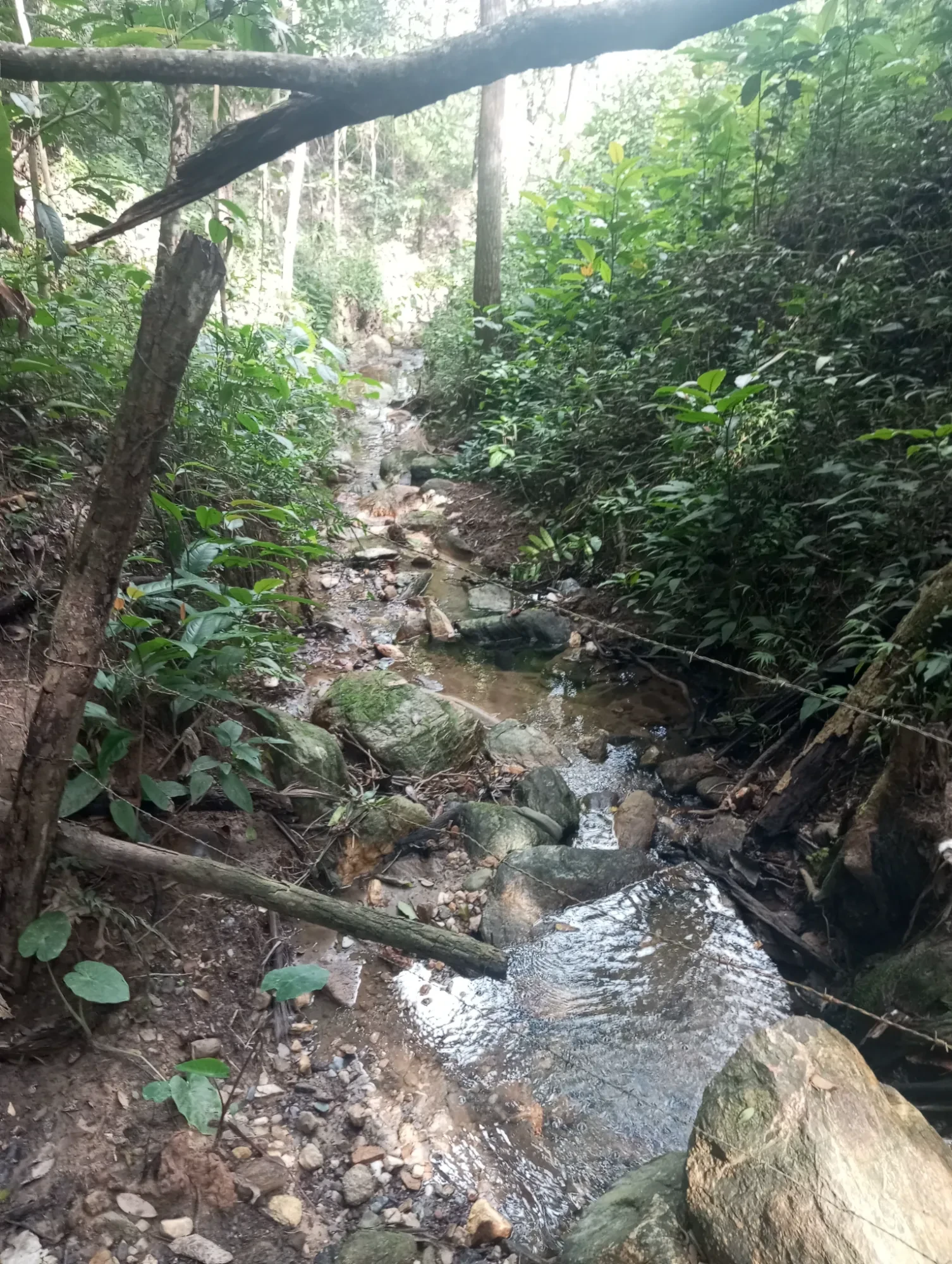 Foto do imóvel: Terreno em Condomínio à Venda, 21300 m² em Ravenópolis (Ravena) - Sabará