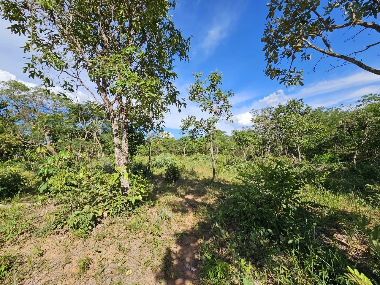 Imagem Fazenda à Venda, 18580 m² em Chácaras Ipanema - Valparaíso de Goiás
