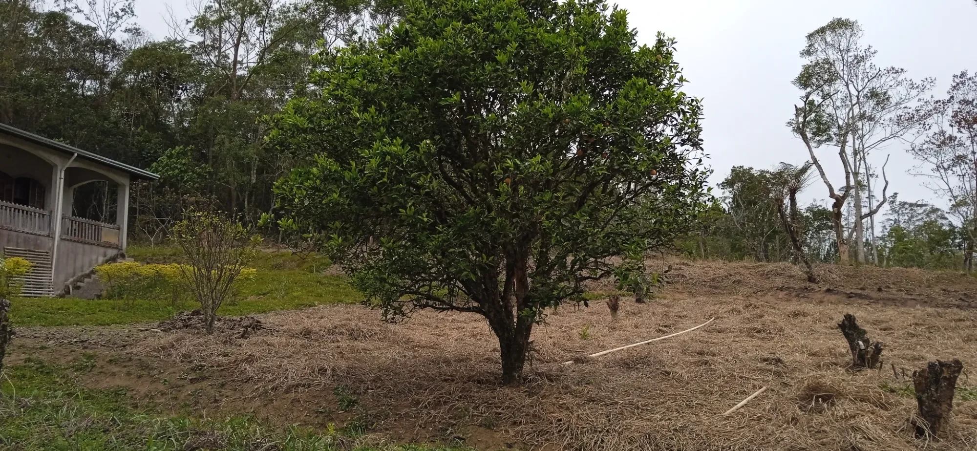 Foto do imóvel: Chácara com 6 Quartos à Venda, 12400 m² em Mogi das Cruzes - Mogi das Cruzes