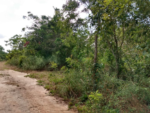 Imagem Terreno à Venda, 720 m² em São Brás - Santarém
