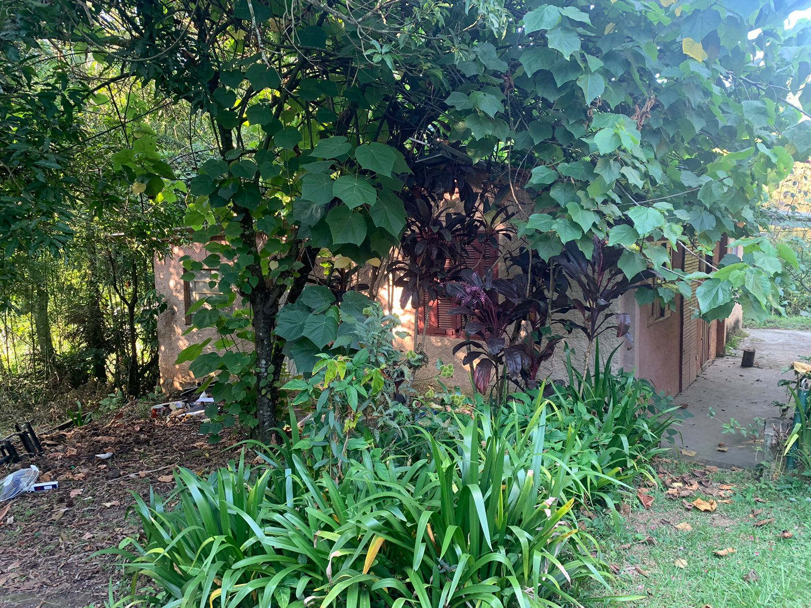 Imagem Chácara com 3 Quartos à Venda ou Locação, 6 m²em Chácara Roselândia - Cotia