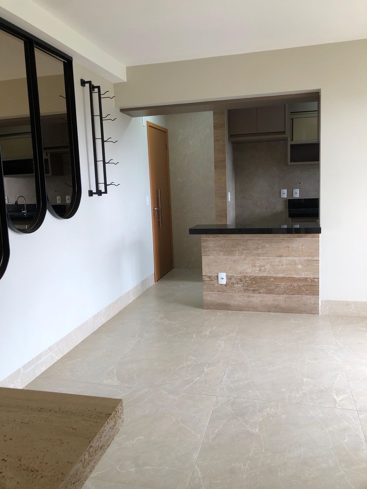 Imagem Apartamento com 2 Quartos à Venda, 56 m² em Vila Cruzeiro do Sul - Aparecida de Goiânia