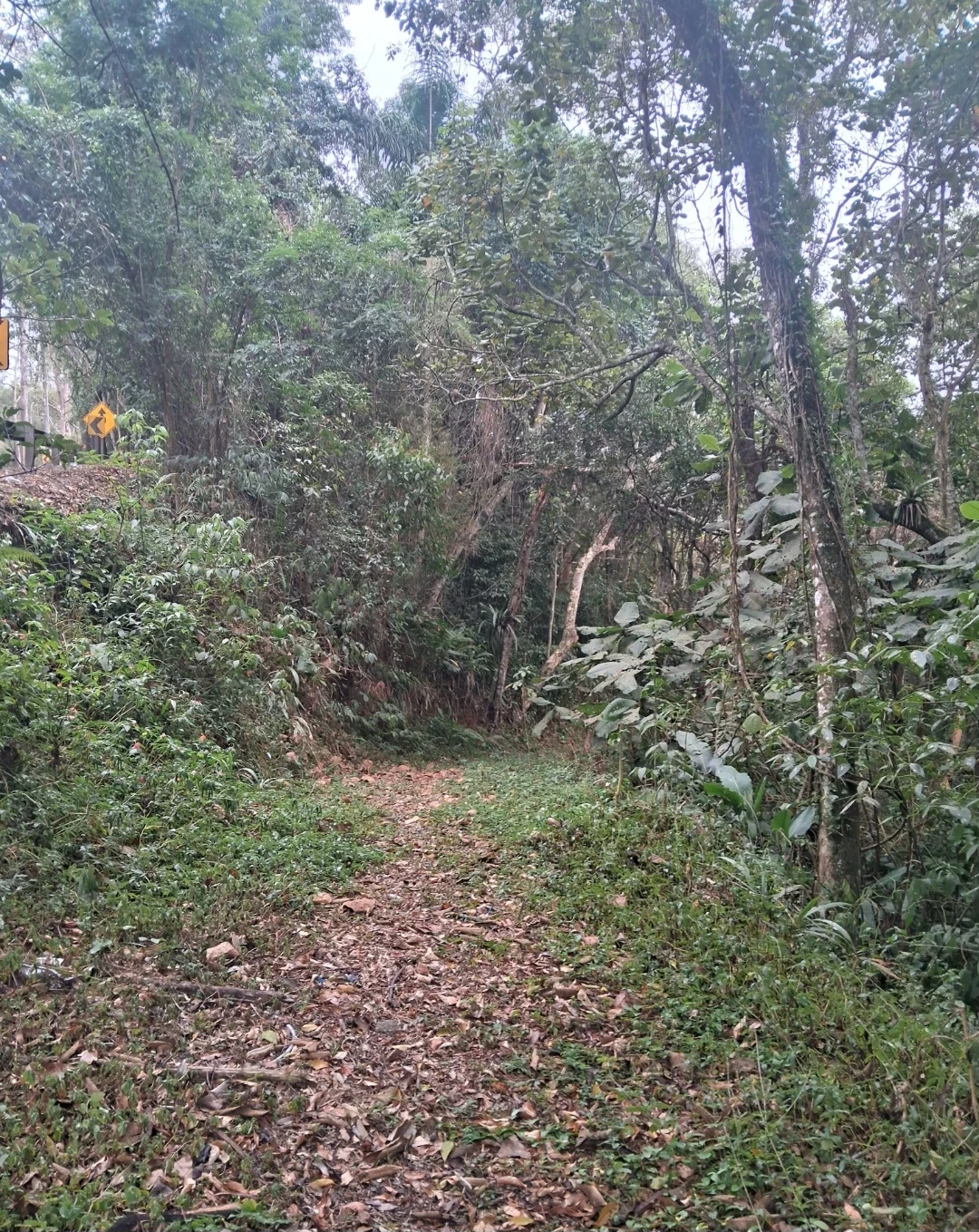 Imagem Imóvel com 1 Quarto à Venda, 29.700 m² em Mombaça - Itapecerica da Serra