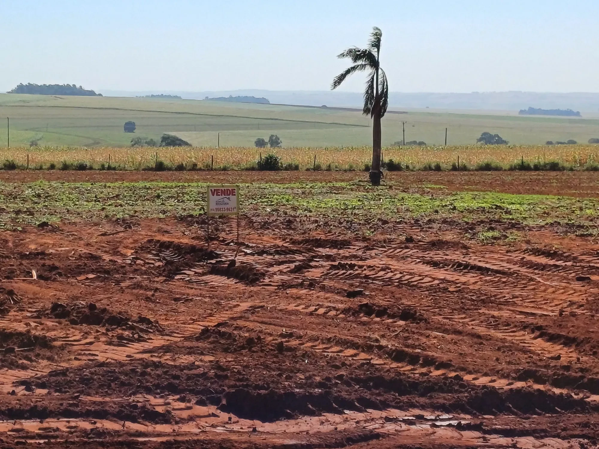 Imagem Chácara à Venda, 4000 m² em Pitangueiras - Pitangueiras
