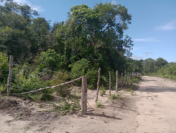 Imagem Terreno à Venda, 44.200 m² em Centro - Santarém
