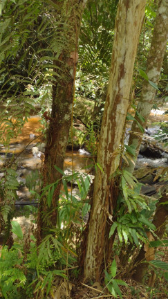 Imagem Terreno à Venda, 1.000 m² em Centro - Atibaia