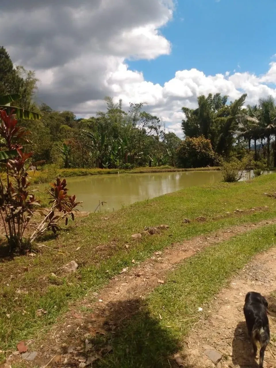 Imagem Terreno à Venda, 302000 m² em Juquiá - Juquiá