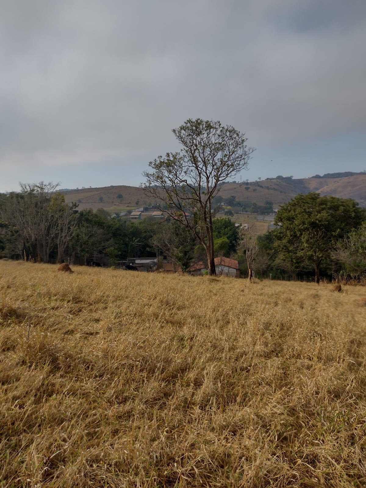 Imagem Terreno à Venda, 21.000 m² em Jardim Continental - Taubaté