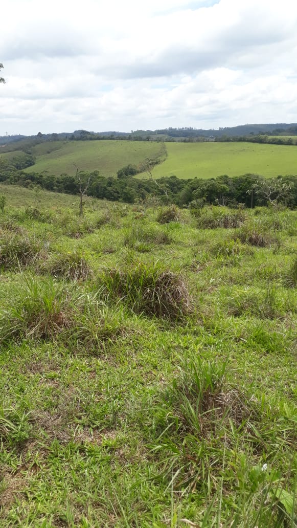 Imagem Fazenda à Venda, 414 HAem Centro - Barbacena