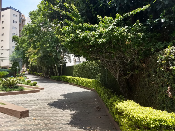 Apartamento com 3 Quartos à Venda, 74 m² em Parque Tomas Saraiva - São Paulo