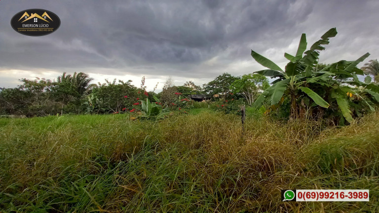 Imagem Chácara à Venda, 200 m² em Areia Branca - Porto Velho