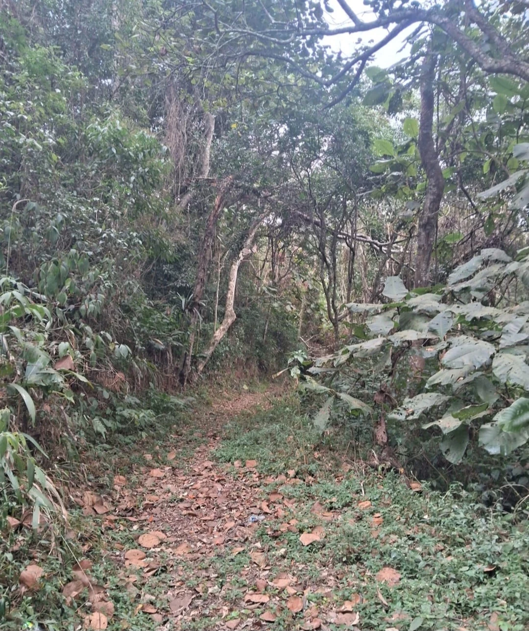 Imagem Imóvel com 1 Quarto à Venda, 29.700 m² em Mombaça - Itapecerica da Serra