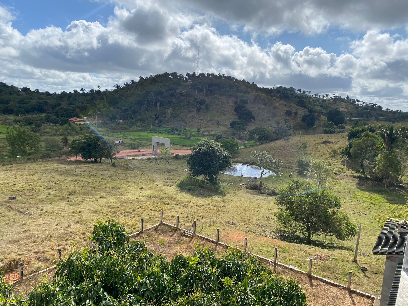 Imagem Fazenda à Venda, 5 HAem CENTRO - Borborema