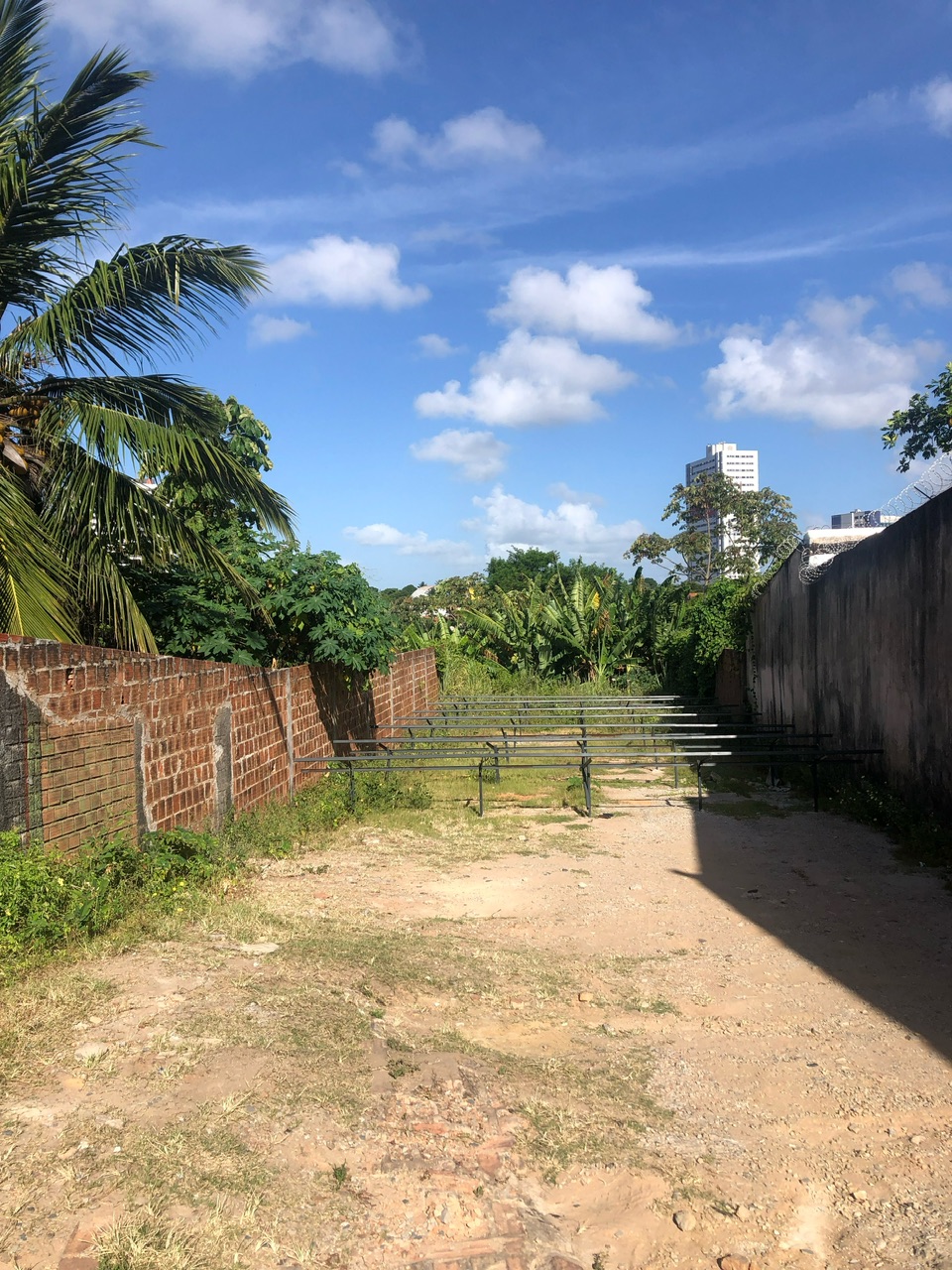 Foto do imóvel: Terreno à Venda, 600 metro em Farol - Maceió
