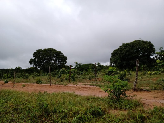 Imagem Fazenda à Venda, 4.870 HA em morumbi - campo grande