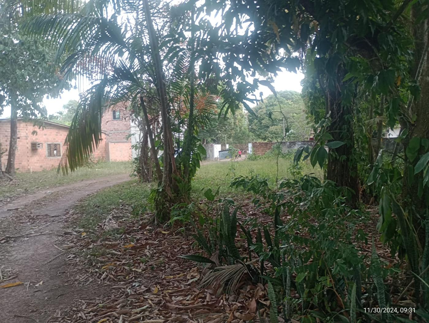 Imagem Chácara à Venda, 55.950 m² em São João do Outeiro (Outeiro) - Belém