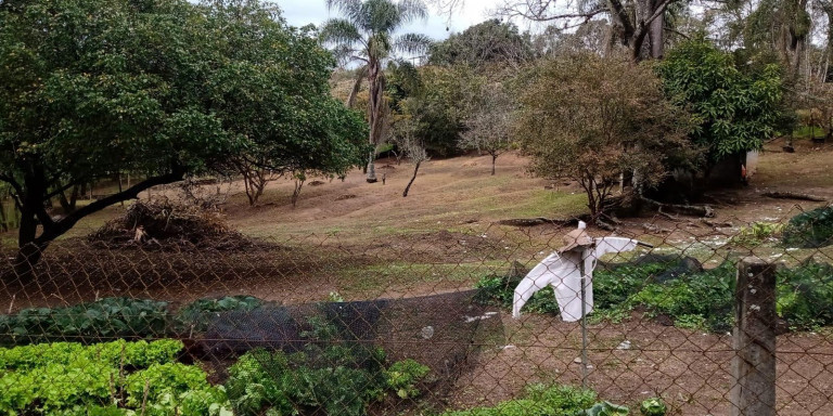 Imagem Chácara com 12 Quartos à Venda,  em Centro - Santa Isabel