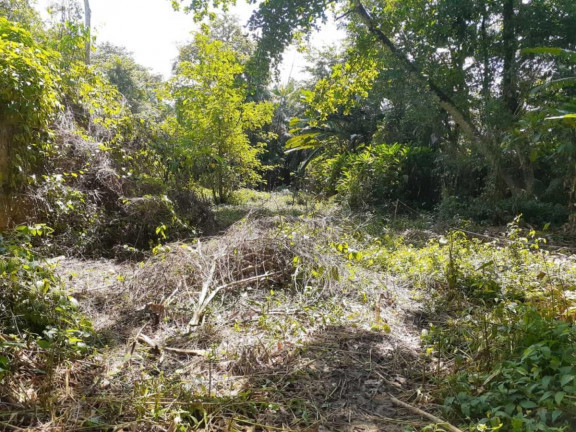 Terreno à Venda,  em Marituba - Ananindeua