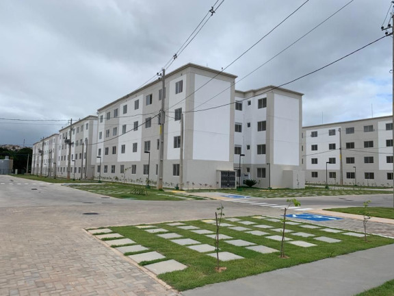 Imagem Apartamento com 2 Quartos à Venda, 41 m² em Celeiro das Alegrias Futuras - Camaragibe