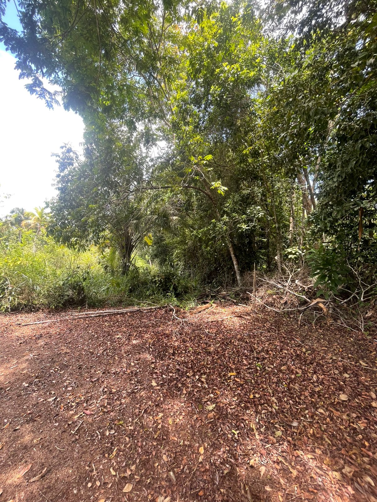 Imagem Terreno à Venda, 300 m² em centro - Una
