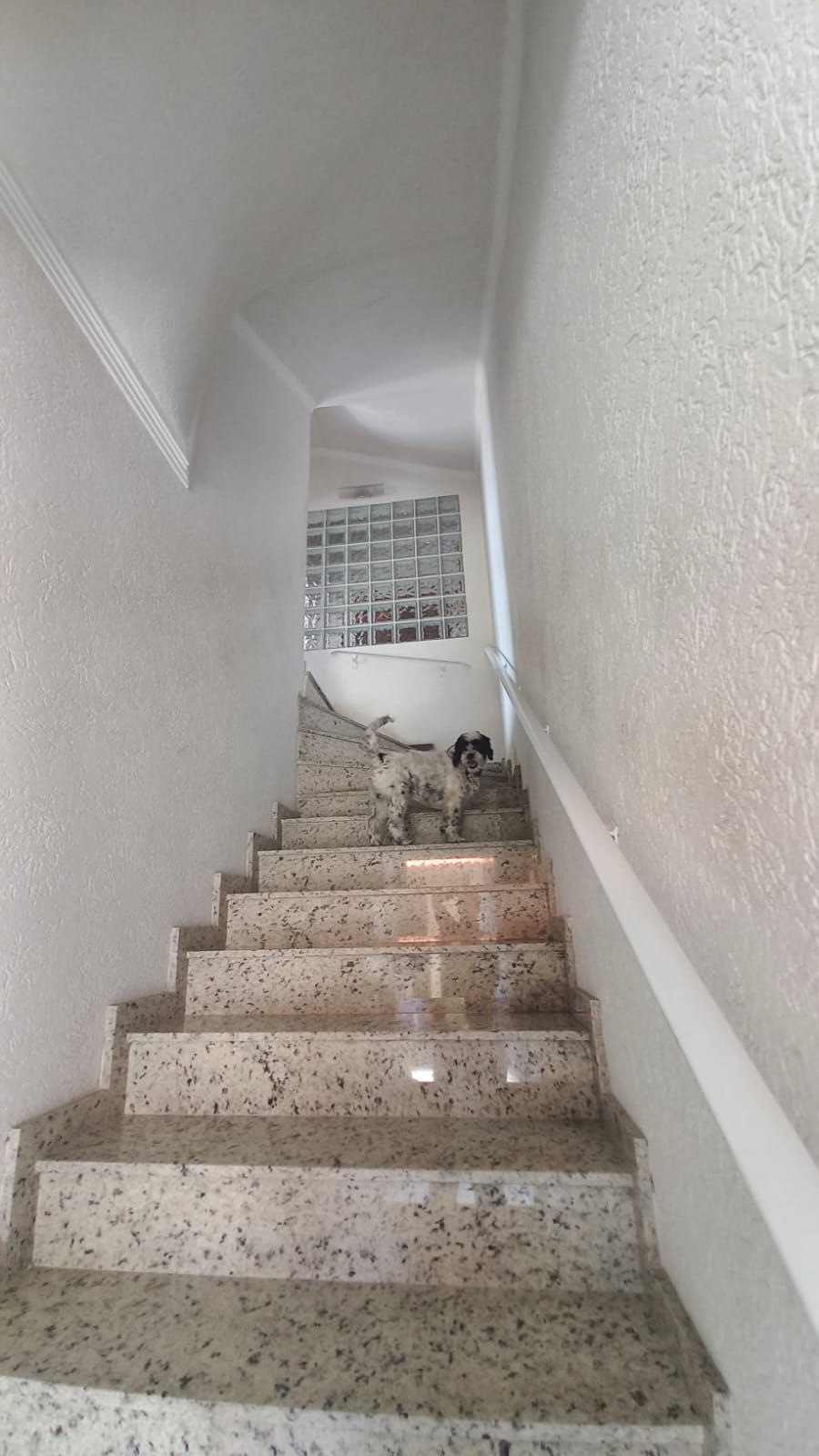 Imagem Sobrado com 5 Quartos à Venda, 350 m²em Parque Casa de Pedra - São Paulo