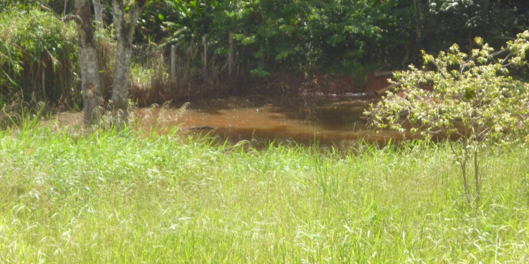 Imagem Chácara com 2 Quartos à Venda, 6.300 m² em Centro - Santa Isabel