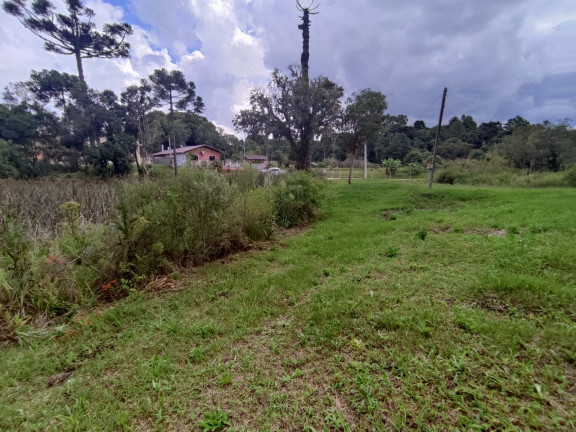Imagem Chácara com 2 Quartos à Venda, 19.960 m² em LAGOA DOS SOUZA - Agudos do Sul
