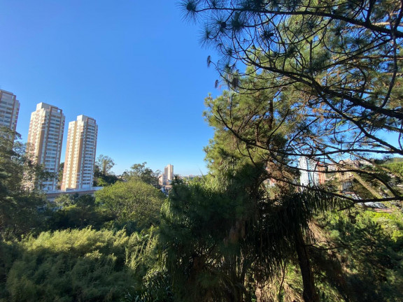 Imagem Apartamento com 2 Quartos para Alugar, 50 m² em Demarchi - São Bernardo Do Campo