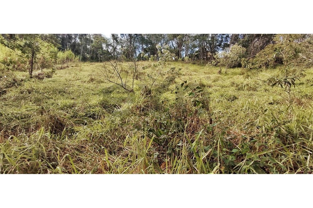 Imagem Terreno à Venda, 3.820 m² em Araras - Petrópolis