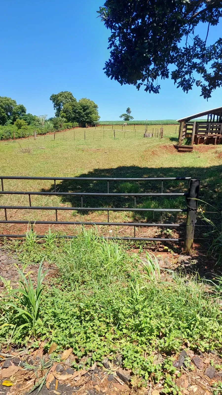 Imagem Chácara com 2 Quartos à Venda ou Locação, 90 m² em Pitangueiras - Pitangueiras