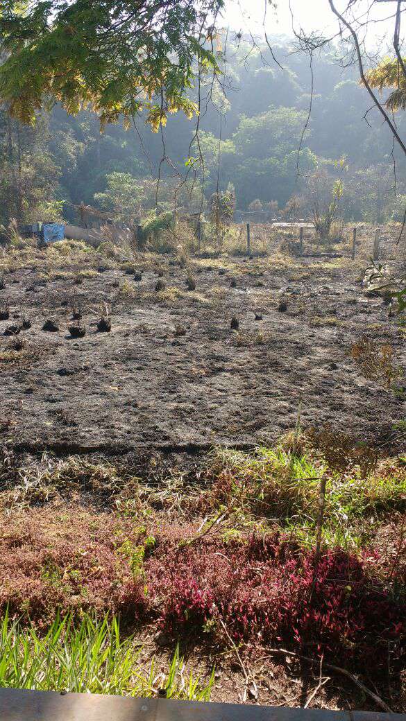 Imagem Terreno à Venda, 39.800 m² em Castanho - Jundiaí