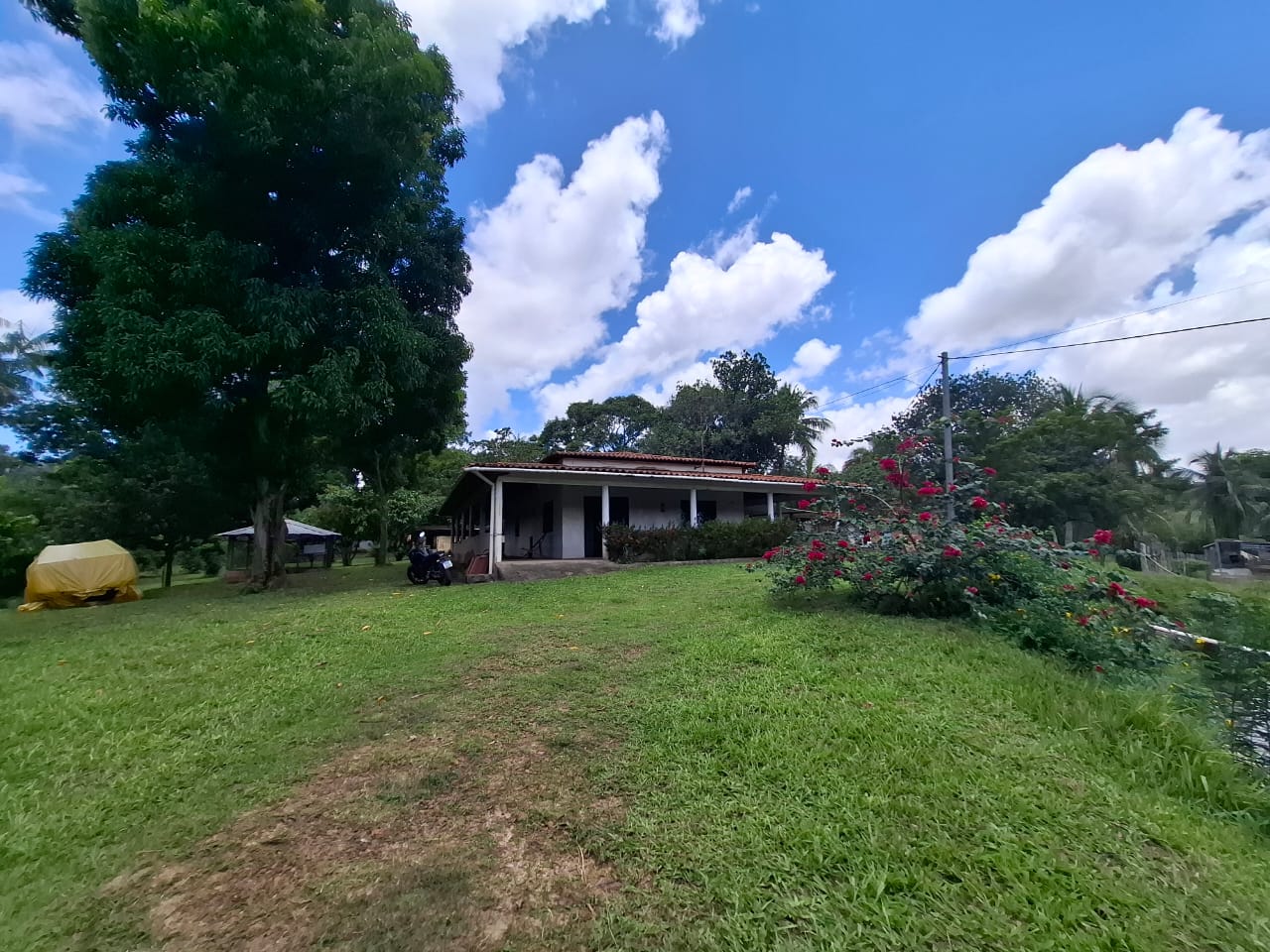 Chácara com 3 Quartos à Venda, 280 m² em Coqueiro - São Luís