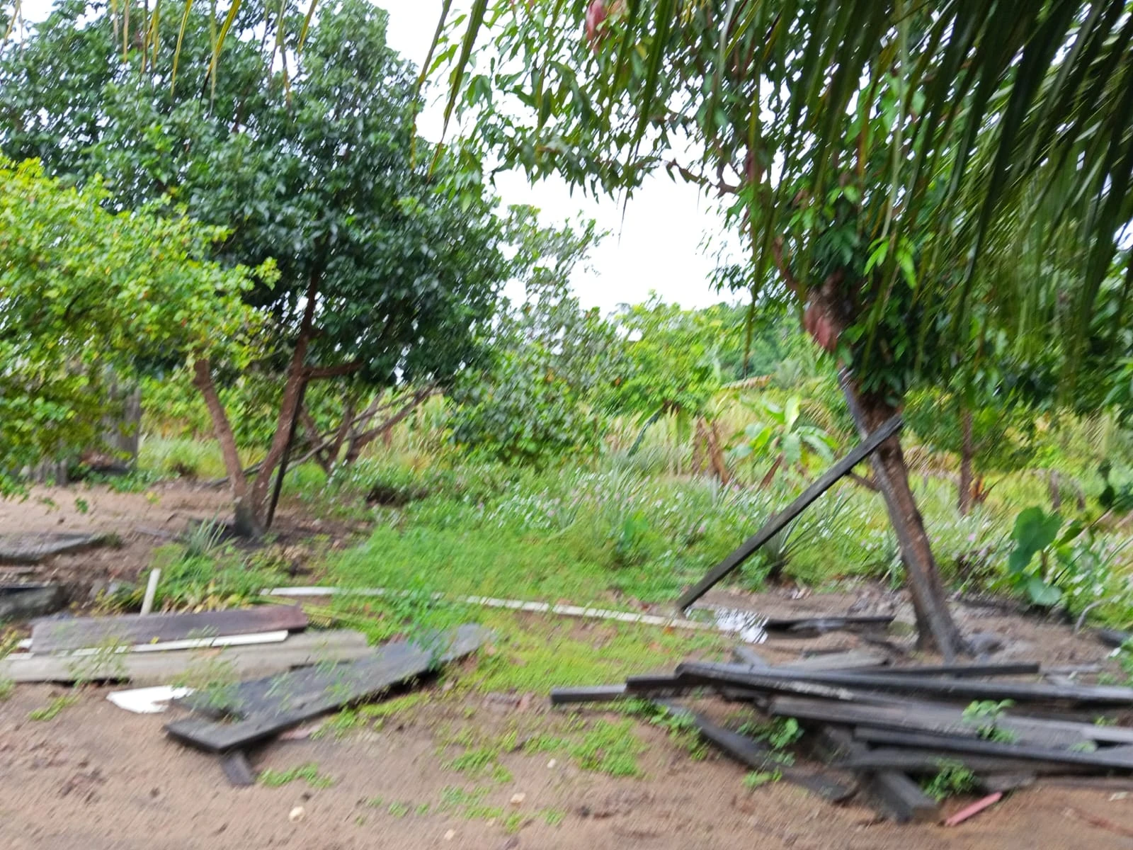 Imagem Fazenda à Venda, 132 m² em Candeias do Jamari - Candeias do Jamari