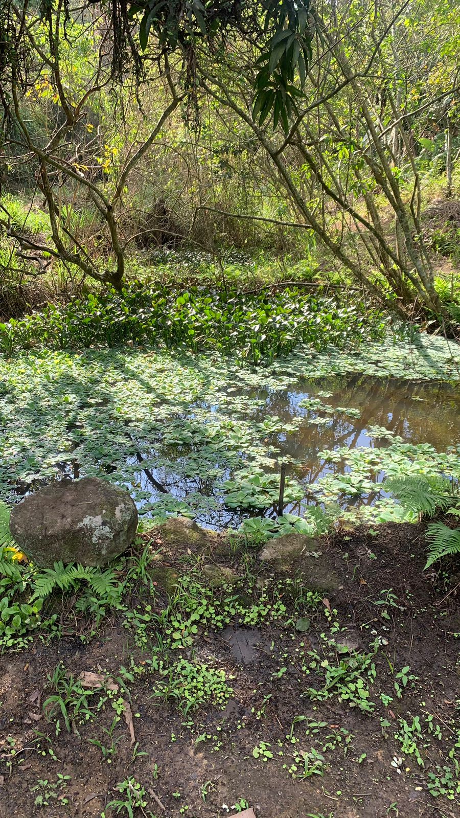 Foto do imóvel: Terreno à Venda, 17.850 m² em Realengo - Rio de Janeiro