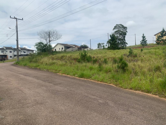 Imagem Terreno à Venda,  em Linha Anta - Criciúma